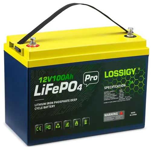 LOSSIGY 12V 100AH Lifepo4 Battery