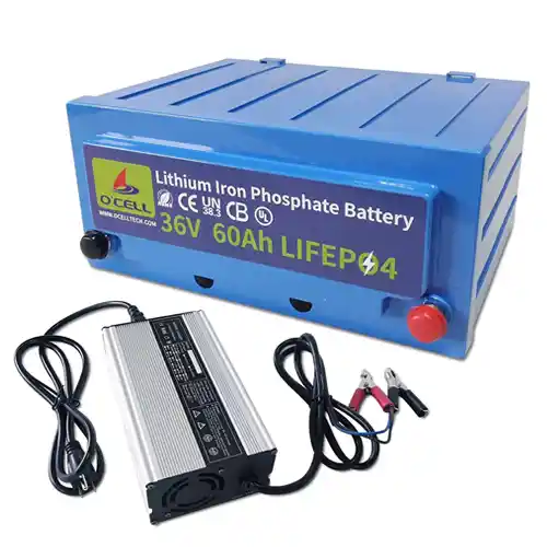 OCELL 36 Volt Lithium Battery
