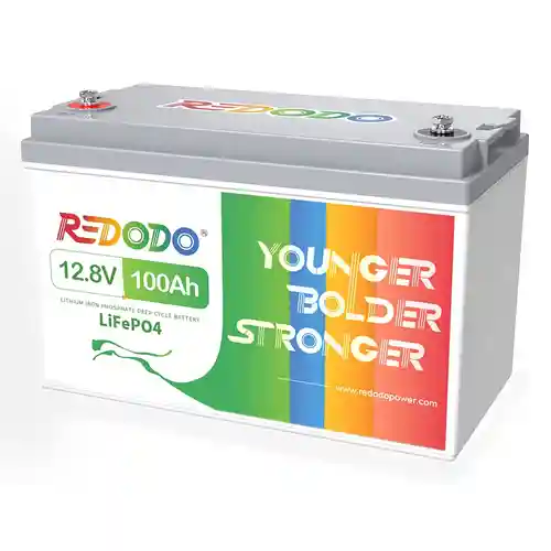 Redodo 12V 100Ah LiFePO4 Lithium Battery