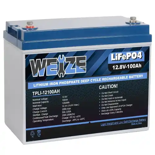 WEIZE 12V 100Ah LiFePO4 Lithium Battery