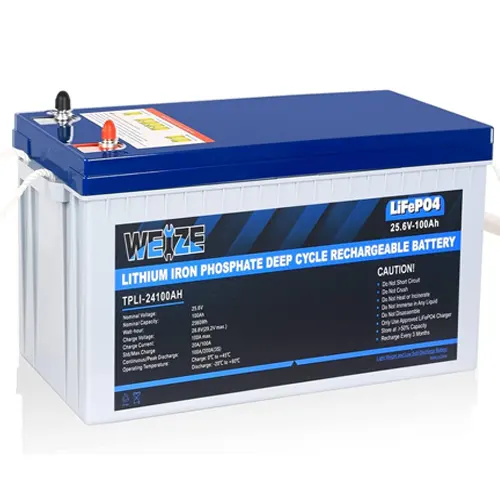 WEIZE 24V 100Ah LiFePO4 Lithium Battery