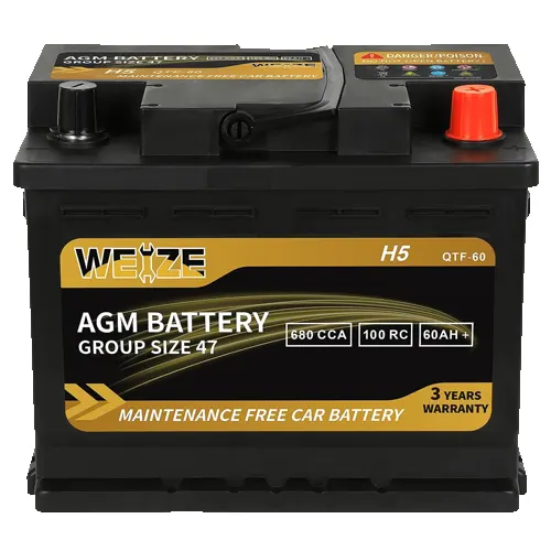 Weize Platinum AGM Battery